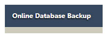 Online Database Backup